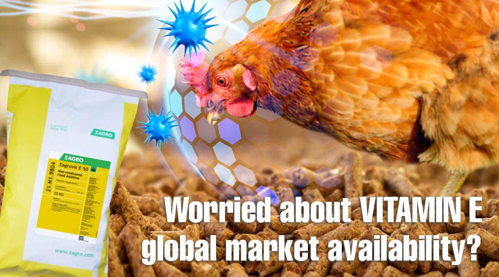 ZAGRO Steps Up Vitamin E Feed Supply to Boost Livestock Health and Productivity